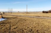 Big glassland with mountains on background