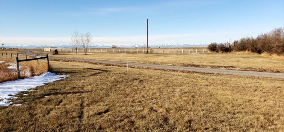 Big glassland with mountains on background