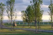 a park with trees and a white fence